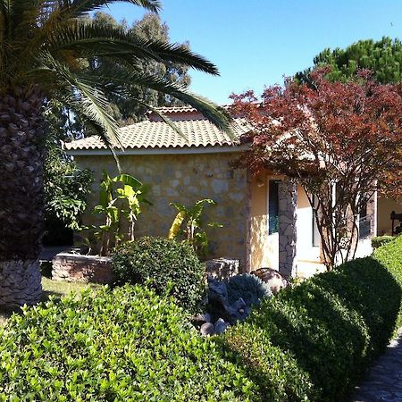 9 Muses Villas Chrani Exteriör bild